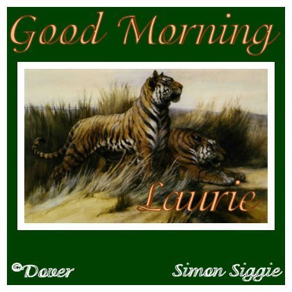 tigergmlaurie.jpg picture by LJTManager