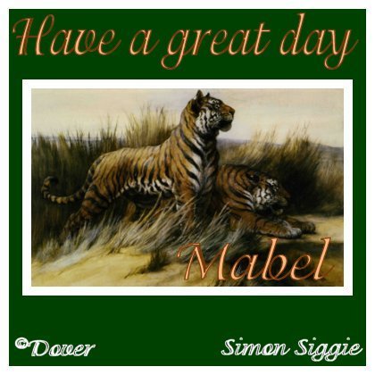 tigergreatdaymabel.jpg picture by LJTManager