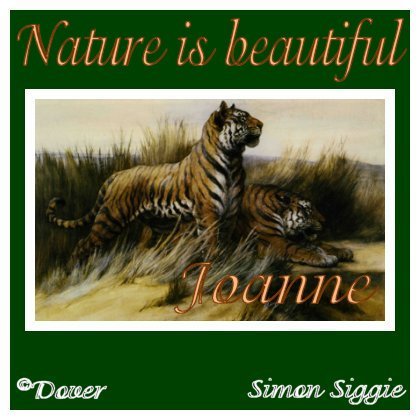 tigernaturejoanne.jpg picture by LJTManager