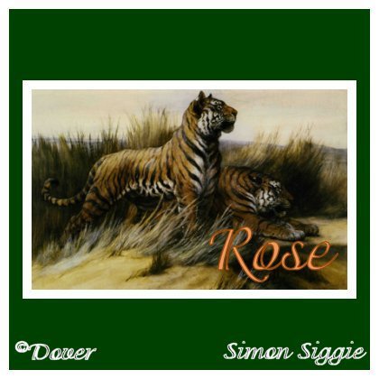 tigerrose.jpg picture by LJTManager