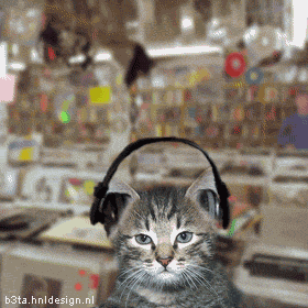 steviewondercatBev.gif picture by TwinksToes