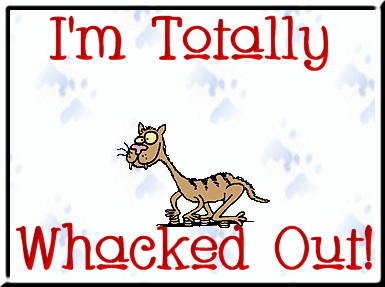 whackedoutcat.gif picture by TwinksToes