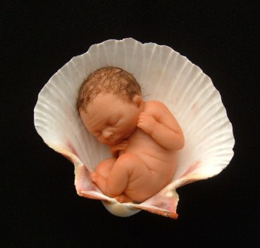 28671600babies.jpg
