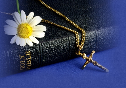 bibletop.jpg picture by Kodis
