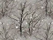 winter tree tile