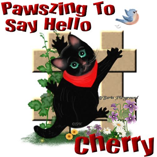 CherryPawszing.jpg picture by sandi6124