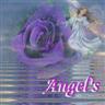 Posted by Angels_1954 on 8/19/2008, 23KB
