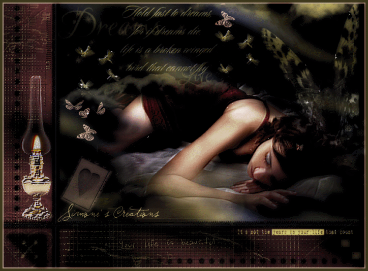 Simone_Hold_your_dreams221111111-1.gif picture by sandragua