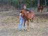 Posted by farmcharm1 on 7/31/2005, 52KB
With one of her 'four-legged' babies