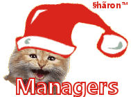 XmasMVMGameManagers.jpg picture by moongirl71958