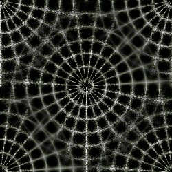 spiderwebs%253