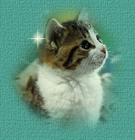cat3smpic.jpg