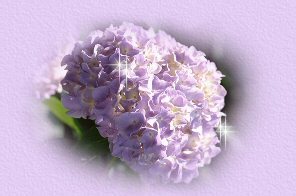 floral02pic.jpg
