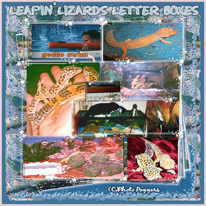 leapinlizardletterboxes.jpg picture by peggerspad