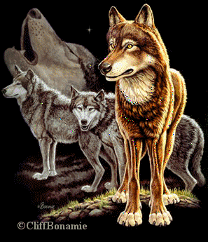 wolves1.gif picture by AnnieAcorns