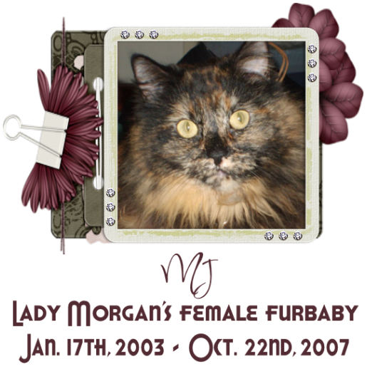 MJKitty.png picture by LadyRaven999