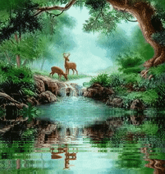 27063ziv06idnx3.gif picture by leprechaunlight