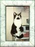 Posted by ©Maikki on 9/11/2002, 17KB
Pepsi knows what it takes to be a model. He loves to pose to the camera!