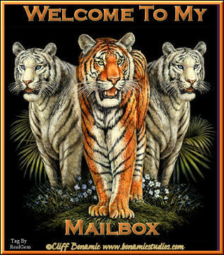 mailbox-1-1.jpg picture by ayesha_4_2007