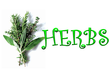 herbs.jpg picture by Mugssie1998