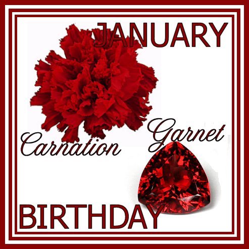 JanuaryBirthday.jpg picture by PeachPrinny