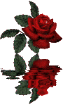 RoseReflections.gif picture by PeachPrinny