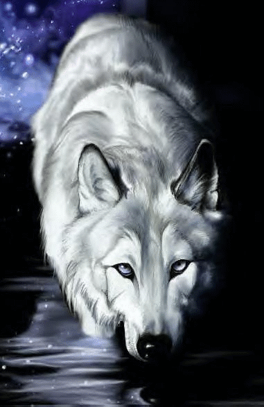 00051.gif Wolf Art image by chained2stone