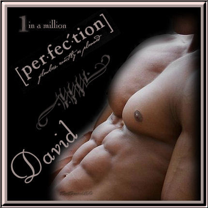 PerfectionDavid.jpg picture by WickedestKar