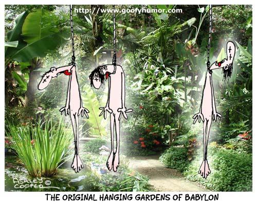 Funny Cartoon - Hanging Gardens