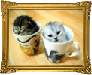 cat3untitled-1.jpg picture by TalentedTalker