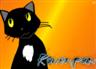 Posted by ZomgHyena on 5/23/2008, 15KB
Ravenpaw, my favorite cat in the whole Warriors Series <3