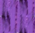 purplesilkystripe.jpg picture by Bamatubes3