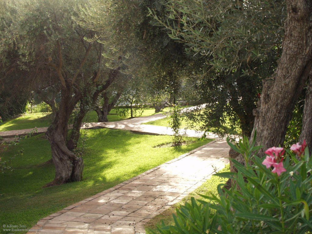 Jardines, (Capistrano Village) Nerja (Málaga) España © Alfonso Soto