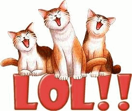 Catslaughing.gif picture by Bobbiedazzler1