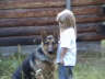 Posted by alwyspoild on 2/8/2001, 31KB
Our daughter and her favorite puppy.