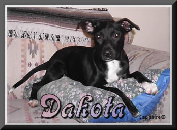 Dakota2FramedSapphire.jpg