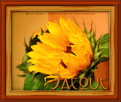 JGSflStXCByJacque.gif picture by JacqueG