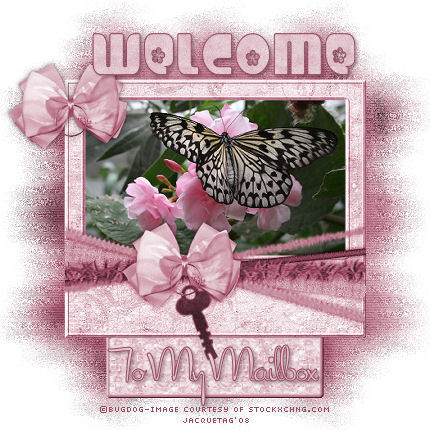 WelMMBugdogSxCByJacque.jpg picture by JacqueG