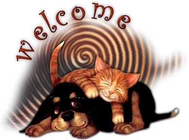 CatNDog252525252520welcome252525252.jpg picture by tessygre