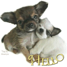 cutehellodogs.gif picture by tessygre