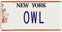 Owl, New York