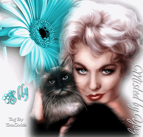 Animation12kittyladyelly.gif picture by Tinagolds