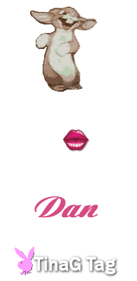 Animation1bunnydan.gif picture by danwreklaw