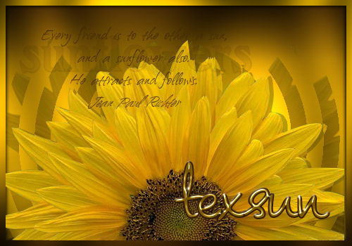 sunflowerTEXAngel.jpg picture by TexasJadeMe