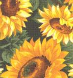 sunflowerf5FV15212DF5Fzoom-vi.jpg picture by AngelontheHearth