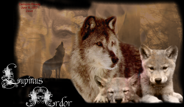 Wolf Flames