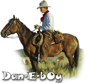 dans cowboy