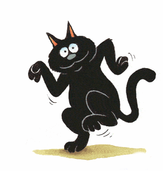 Black cat dance