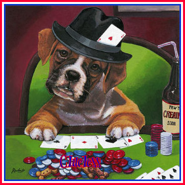 Clueless_PokerPups2-vi.jpg picture by cluelessone_photo