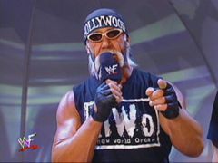 HollywoodEntry.jpg Hollywood Hogan Entry picture by MrDVD368
